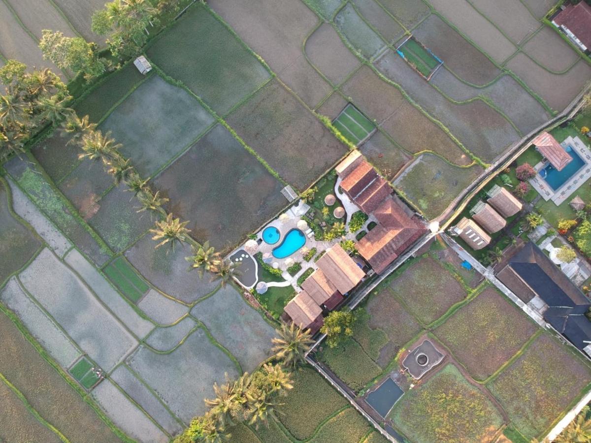 Tetebatu Flush Harmony Hotel Exterior photo